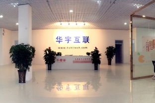 北京華宇互聯(lián)科技邯鄲分公司——信息技術(shù)咨詢(xún)服務(wù)的職業(yè)體驗(yàn)與薪資分析